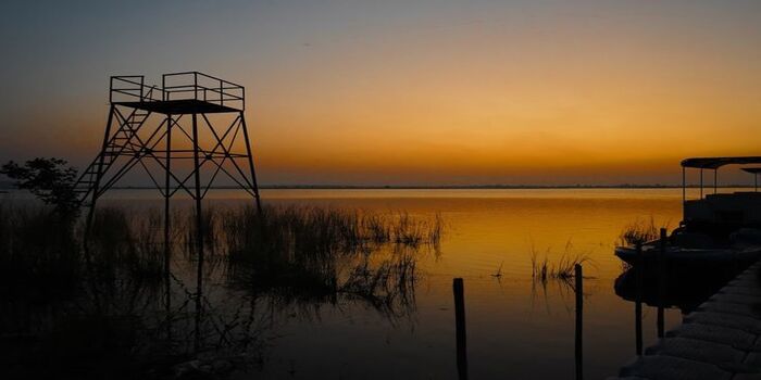 Tadoba Wildlife Escape