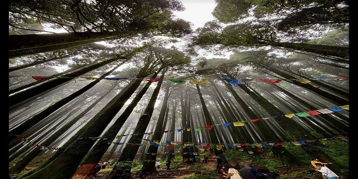 Escape to the serene Eastern Himalayas 