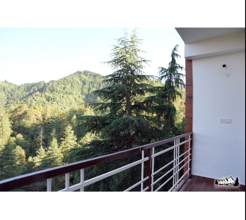 hotel image4