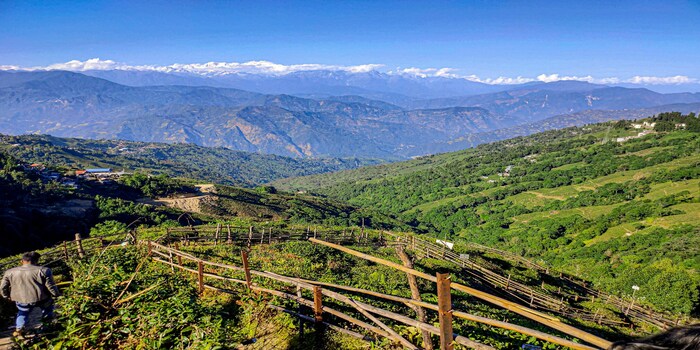 1778046876Darjeeling.jpg