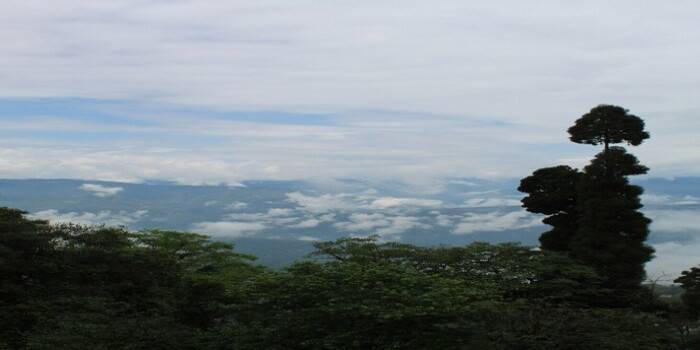 1777102183darjeeling.jpg