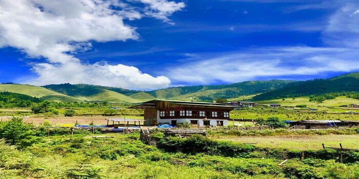 1781167495travel_from_guwahati_to_bhutan.jpg